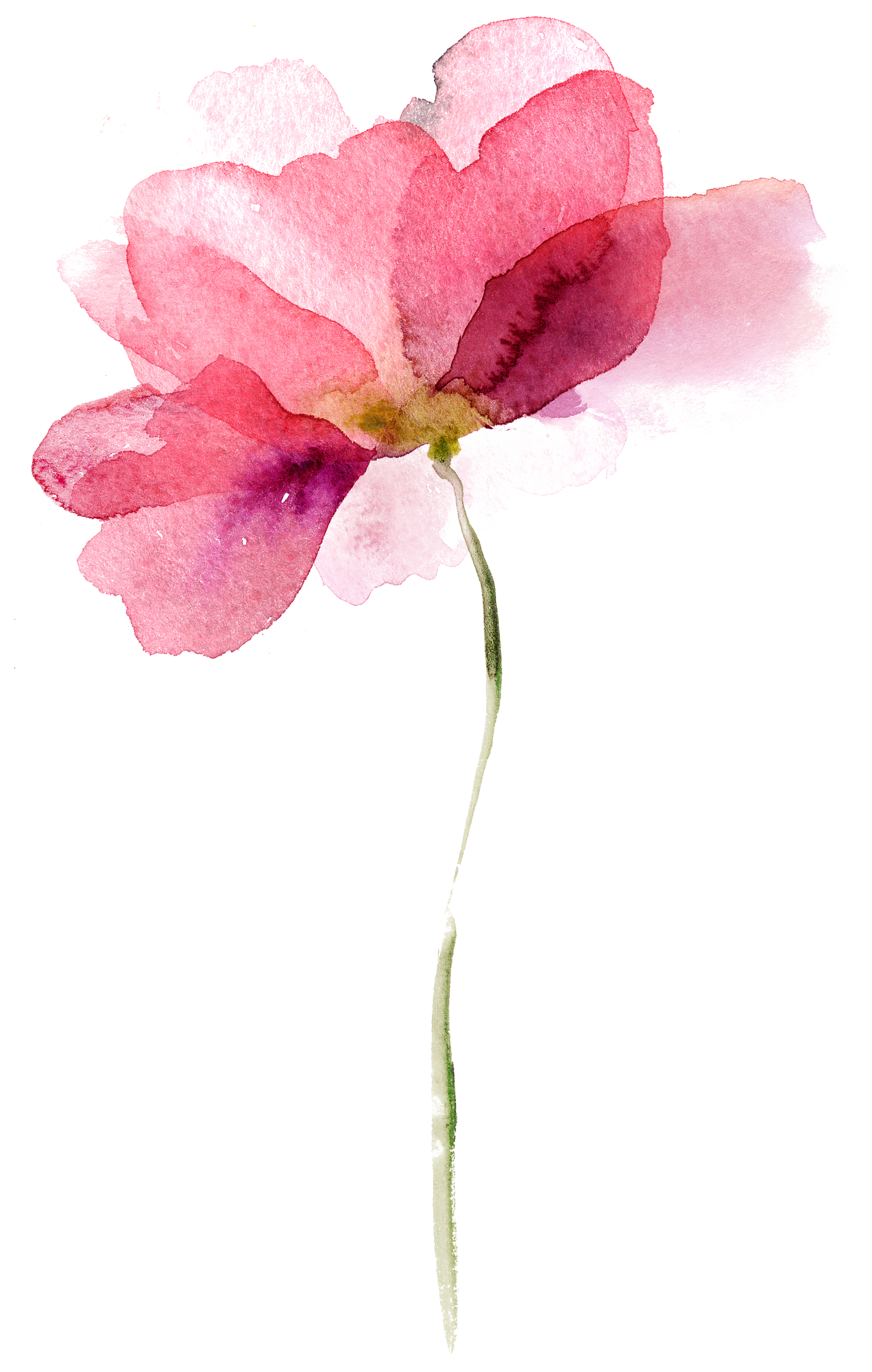 Tattoo uploaded by Xavier • Pink flower tattoo by Luiza Oliveira.  #LuizaOliveira #fineline #floral #feminine #flower #botanical • Tattoodo