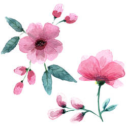 Watercolor Pink Garden Tattoo Design