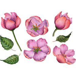 Pink Violet Blooms Tattoo Design