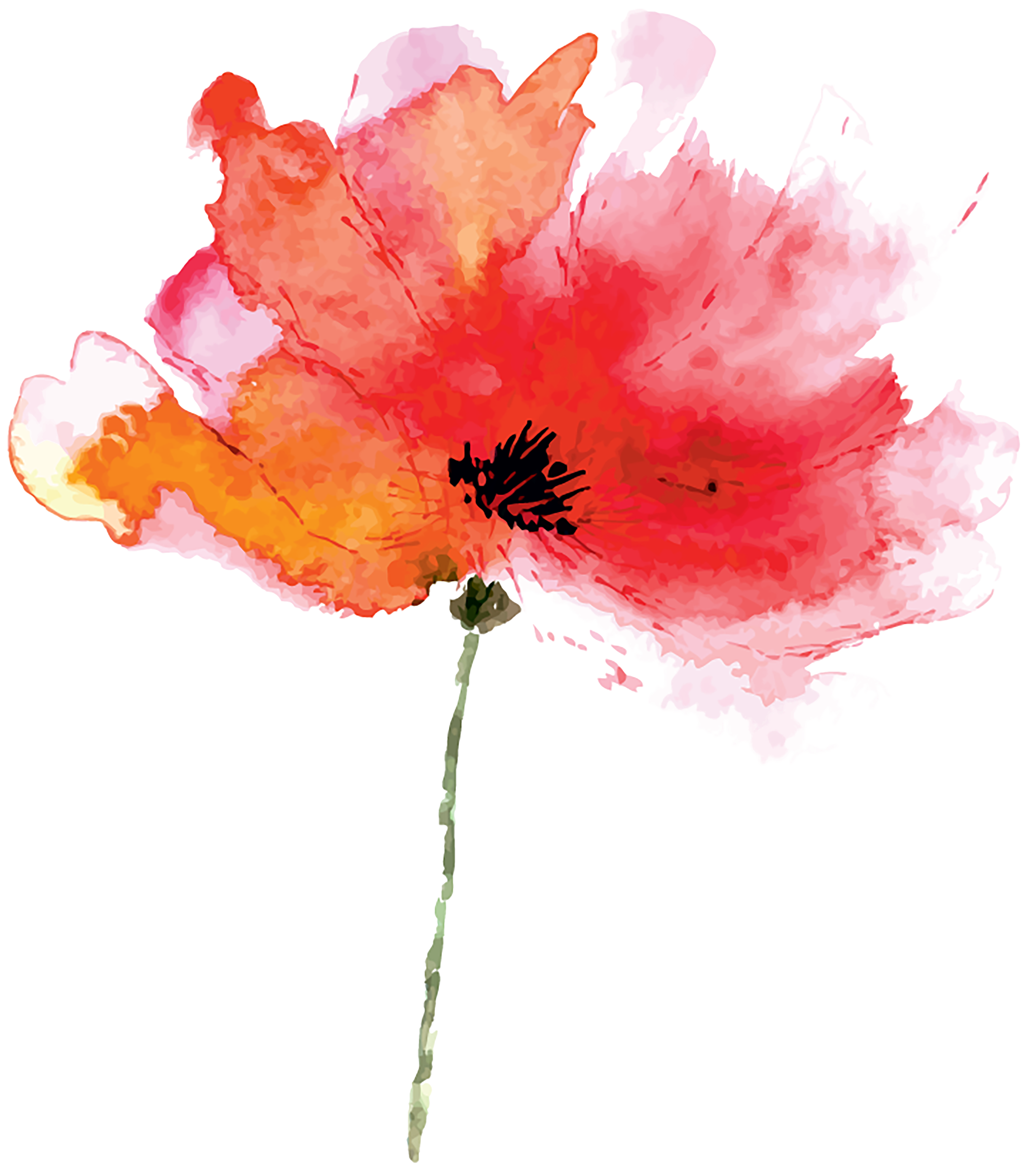 Buy TEMPORARY TATTOO Lily / Poppy / Vintage Flower / Watercolor Poppy Tattoo  Flash Online in India - Etsy