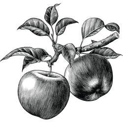 Hanging Apples Tattoo Design
