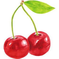 Cherry Tattoo Design