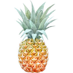 Orange Yellow Pineapple Tattoo Design