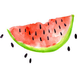 Watermelon with Black Seeds Tattoo Design