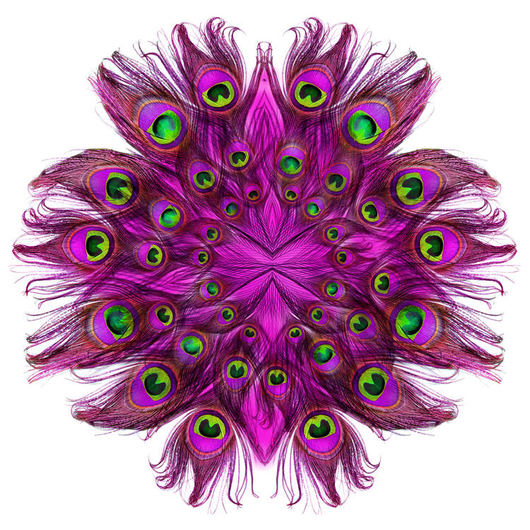 Purple Peacock Mandala Tattoo Design