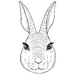 Jackie, Rabbit Tattoo Design