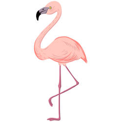 Lisa, The Flamingo Tattoo Design