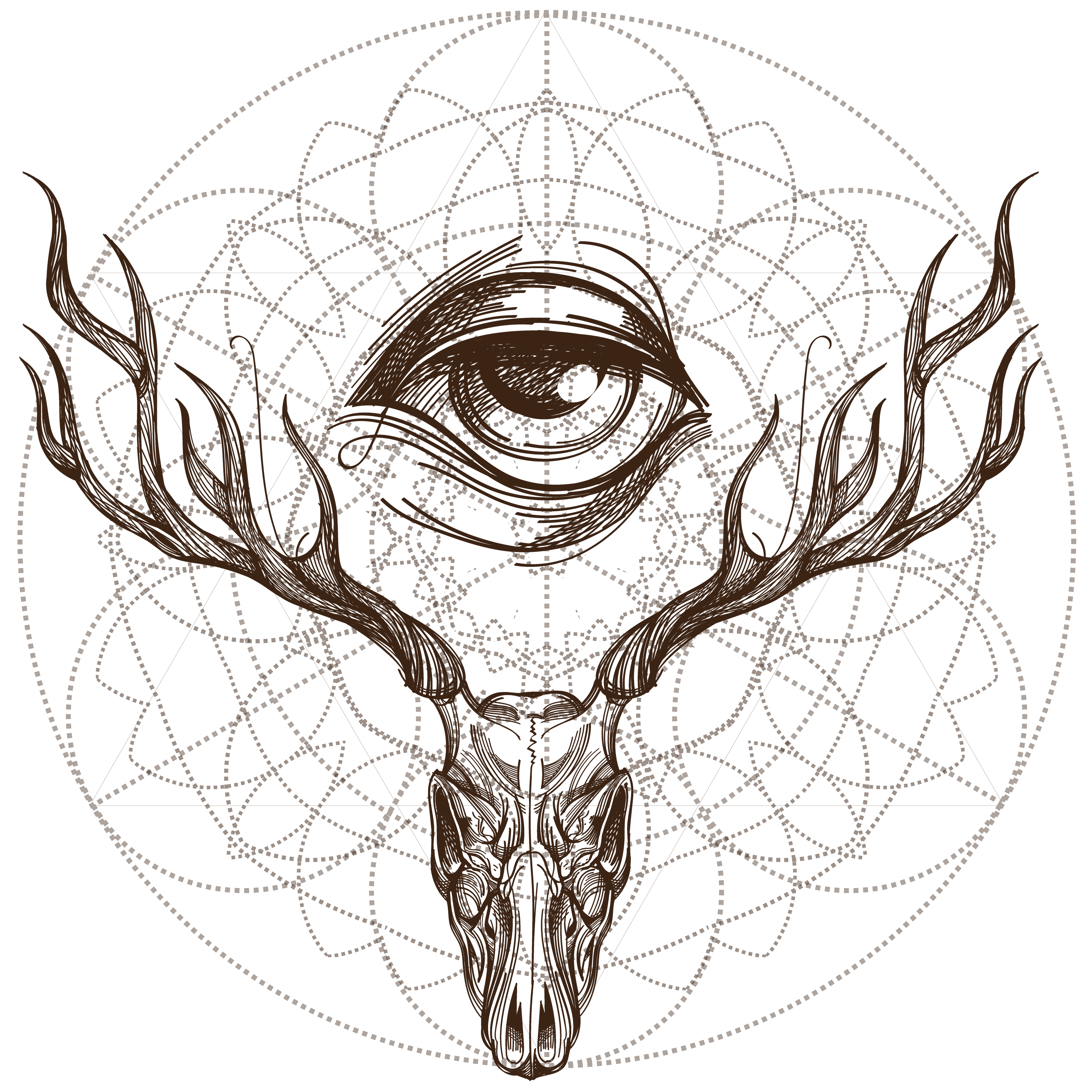 deer skull | Under the Needle