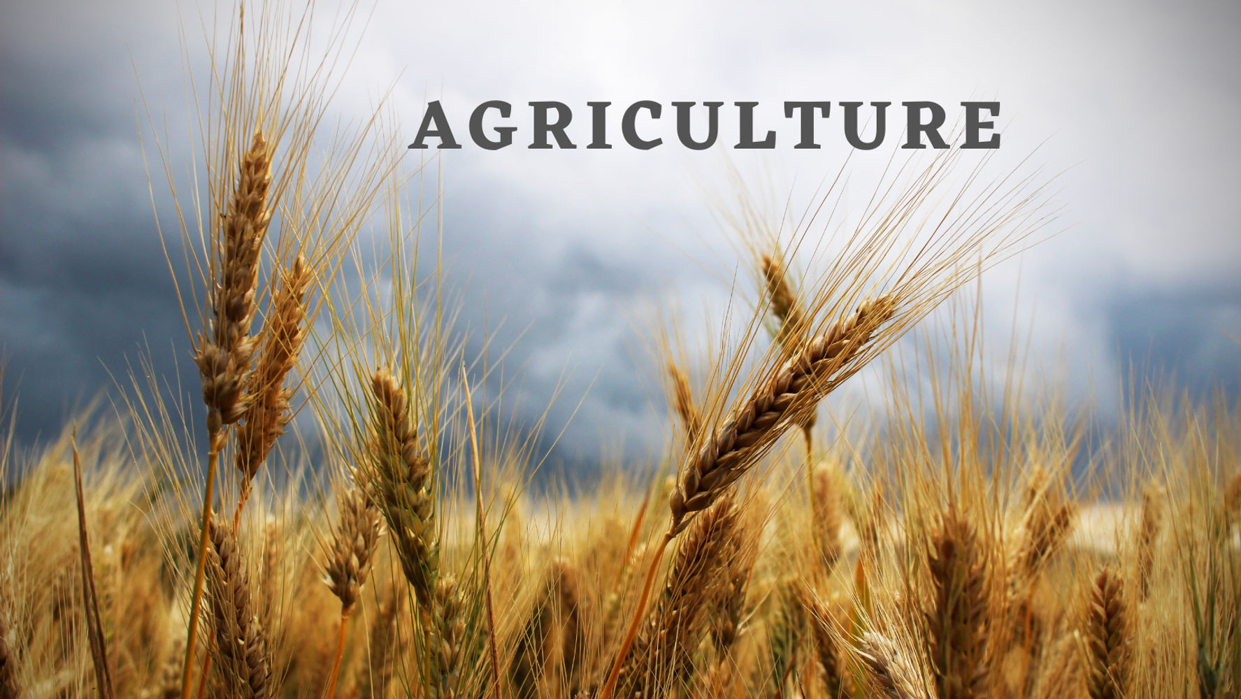 OAV-AGRICULTURE (PRACTICE SET-2)