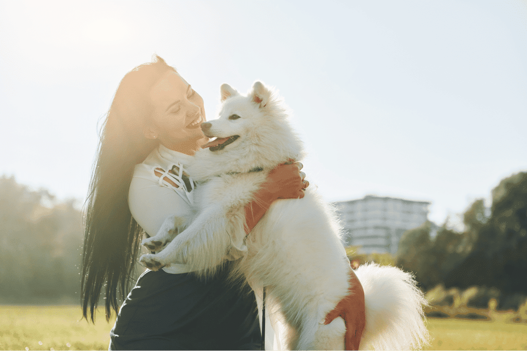 Discover how dogs show their love with these 10 signs!