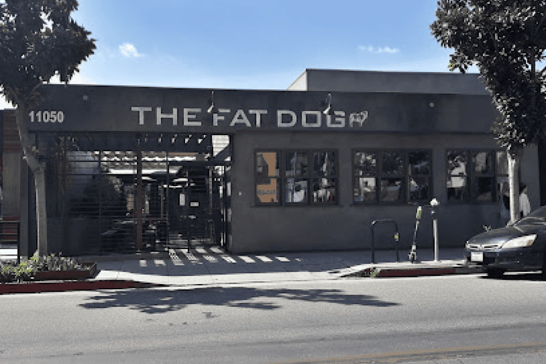 The Fat Dog.png