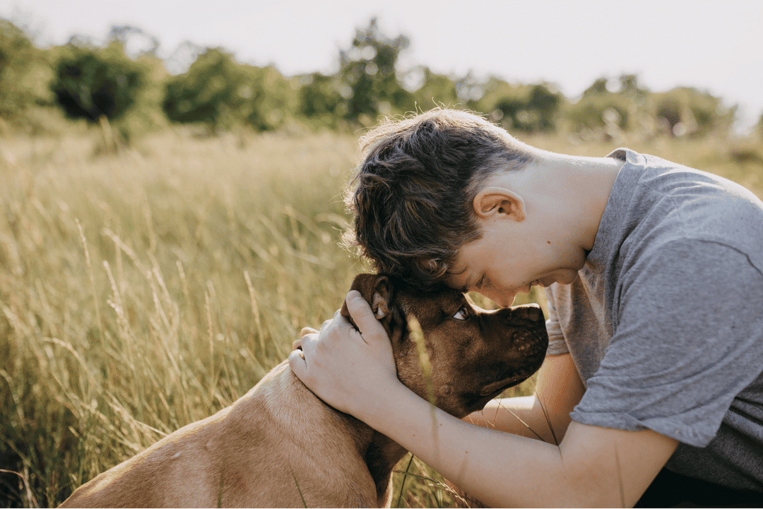 how to know your dog loves you