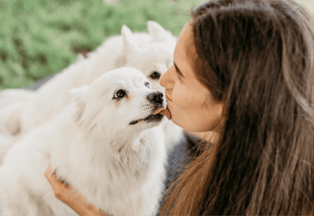 Learn how dogs show love with these 10 heartwarming signs. Understand your dog's affection to build a stronger bond and a happier relationship.