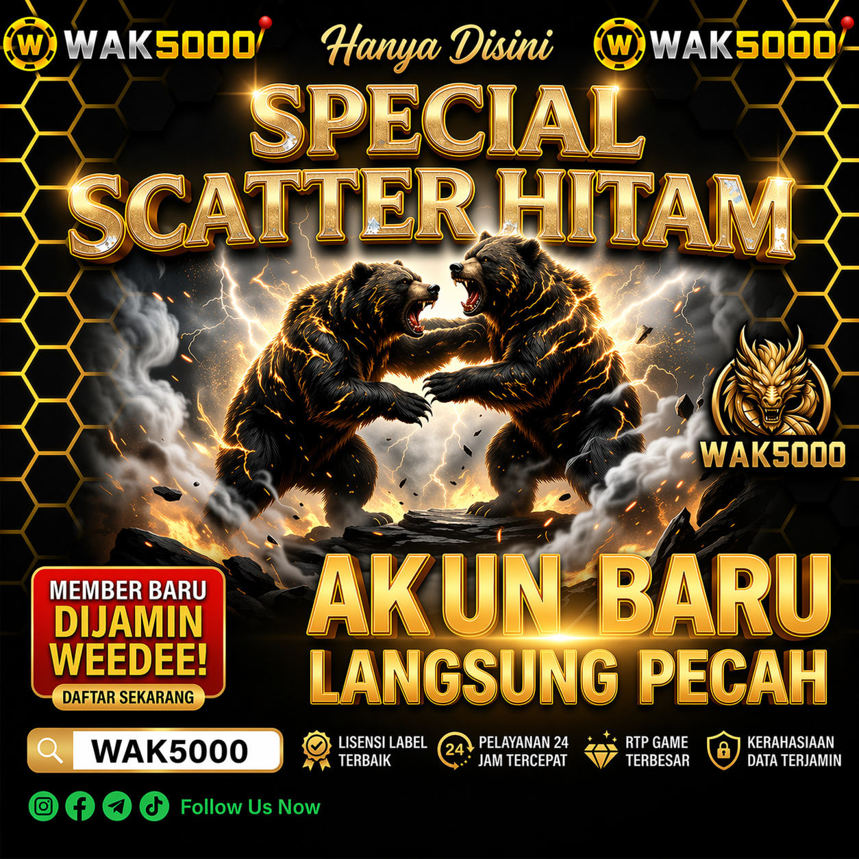 WAK5000