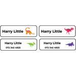 Iron-on-labels-Dinosaurs.jpg