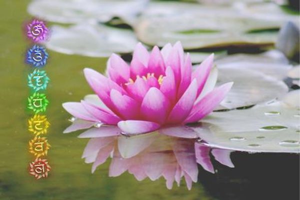 Energiefluß anregen mit Chakra Yoga - Online Kurs – Image 1