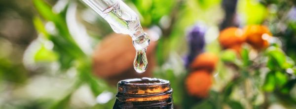 Infoabend zur Aromatherapie-Ausbildung – Image 1