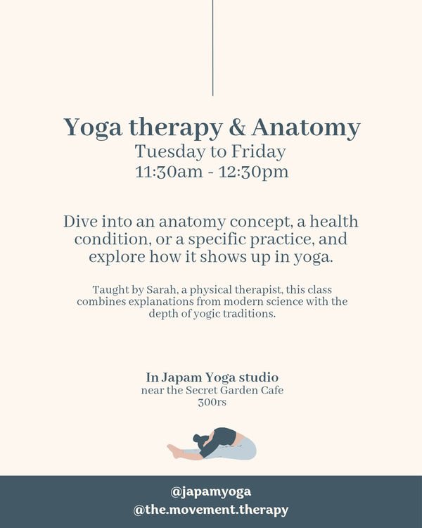 Yoga therapy and anatomy classes – Image 1