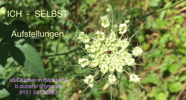 Event image for ICH - SELBST