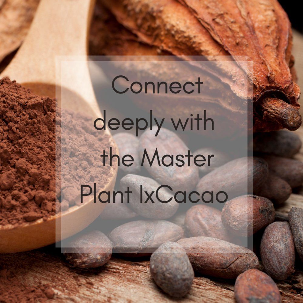 Event image for 4 IX - Cacao Ceremony & Medicine Songs with Chaskawisdom & ANIMA.Soulvoice