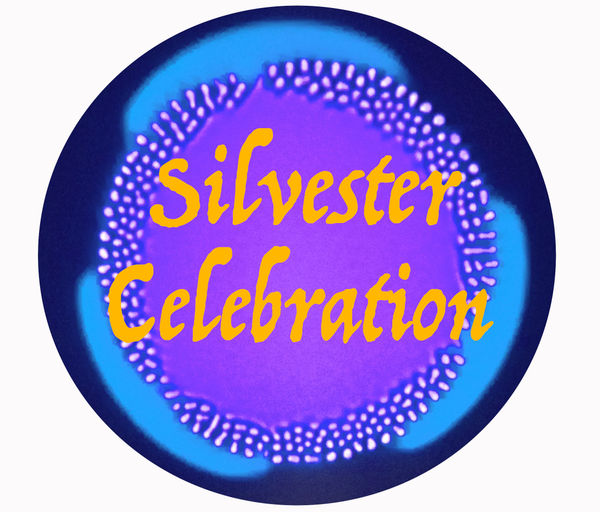 Silvester Celebration – Image 1