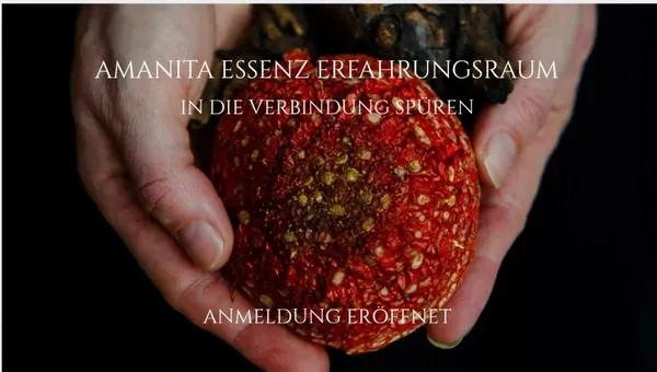 Event image for Amanita Essenz Erfahrungsraum 