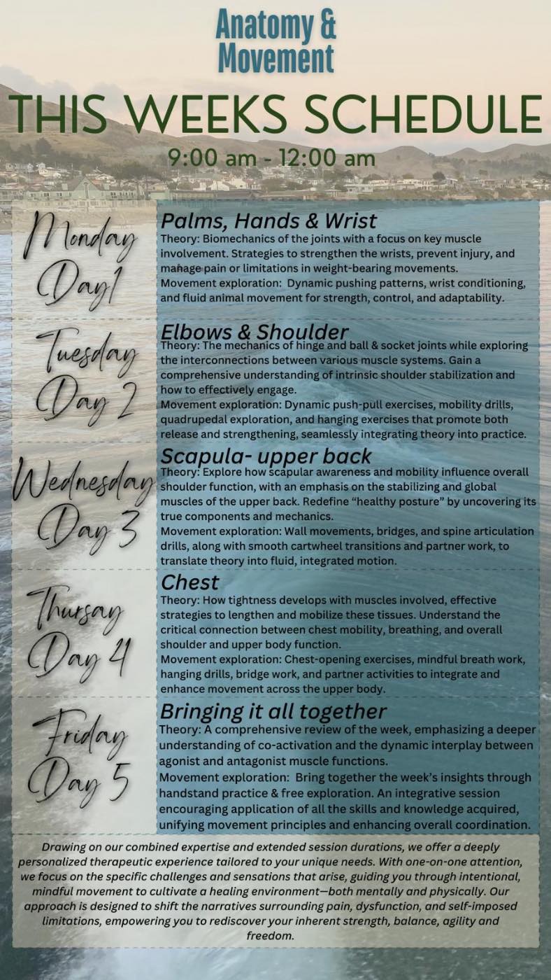 Event image for Anatomy and movement Workshop 