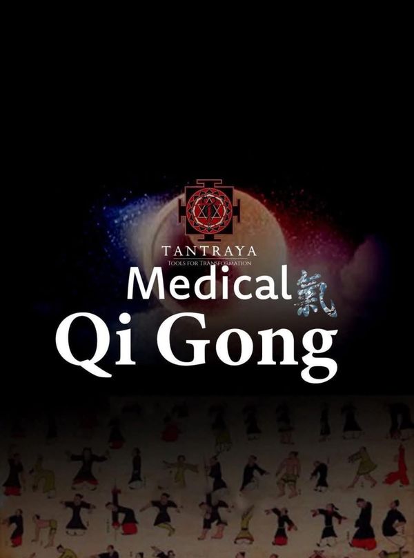 Learn Medical Qigong – Image 1
