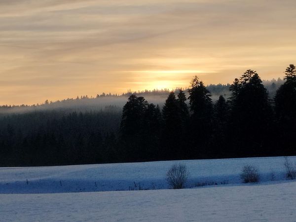 Diamond Approach & Zen: Nicht-Wissen - Ein Tor zur Essenz des Seins – Image 1