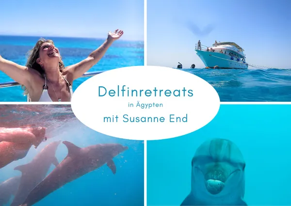 Event image for Schwimmen mit freien Delfinen - Delfinretreat auf dem Roten Meer
