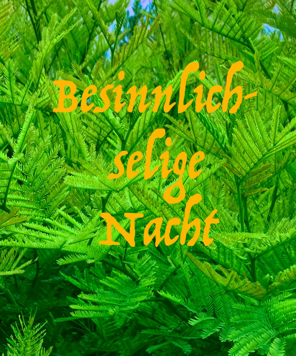 Besinnlich-selige Nacht am Heiligen Abend – Image 1