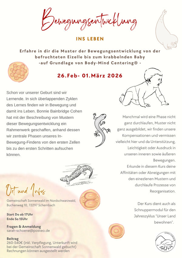 Bewegungsentwicklung. INS LEBEN – Image 1