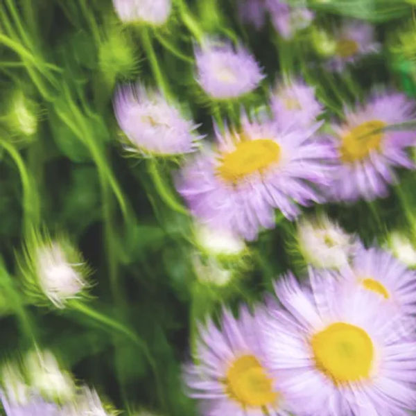 Psychedelic Breath ® (ONLINE) – Image 1