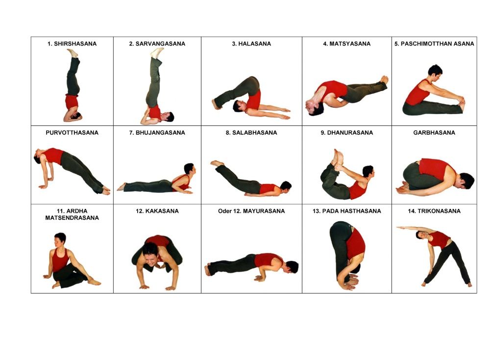 Event image for Hatha Yoga Mittelstufe