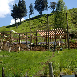 Sustainable pole house, Whangamata