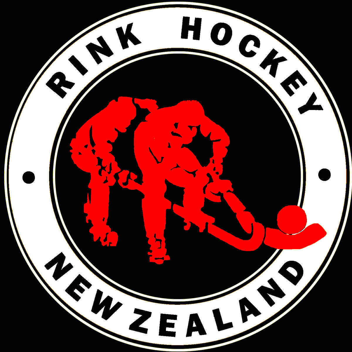 Code: Rink Hockey