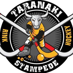 Rink Hockey