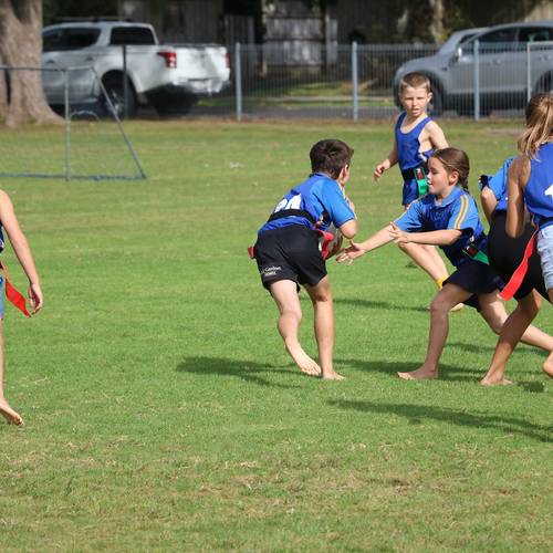 Waihi Cluster Schools' Rippa Rugby Tournament