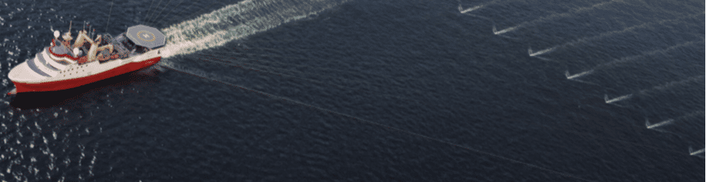 company banner