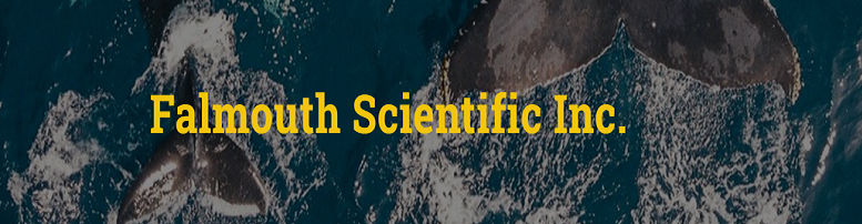 company banner