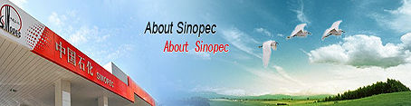 company banner