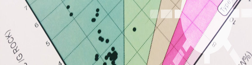 company banner