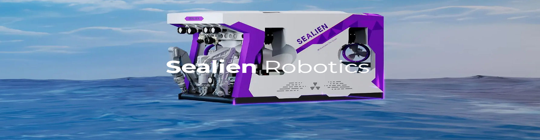 company banner