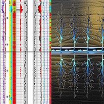 Cordax Evaluation Technologies life at company image