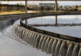 SNF life at company image