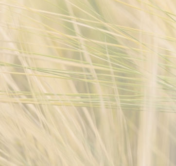 XPR Resources LLC life at company image