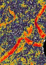 Vision Exploration, LLC life at company image