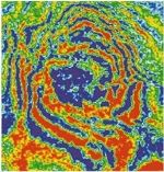 Vision Exploration, LLC life at company image