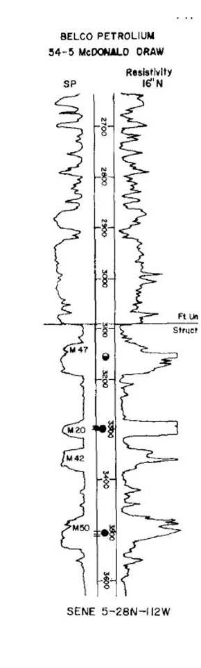Riptide Energy LLC life at company image