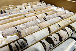 AGAT Laboratories life at company image
